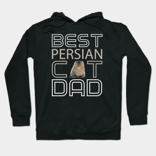 Best Persian Cat Dad Hoodie